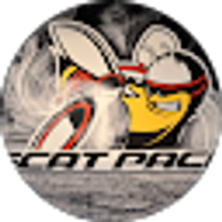 Profile photo of Lou Calabrese