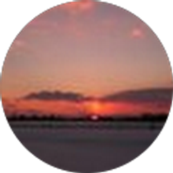 Profile photo of Dongqing Shi