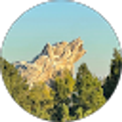 Profile photo of Mike Picone