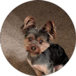 Profile photo of Sylvia Aguilar