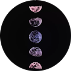 Profile photo of Little Zommy