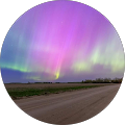 Profile photo of Kevin