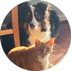 Profile photo of April Schack