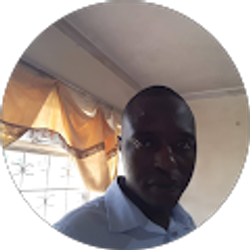 Profile photo of Bvunzawabaya Clever