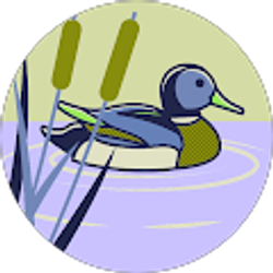 Profile photo of Kelsey Keys