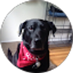 Profile photo of Lynn. M Gerber