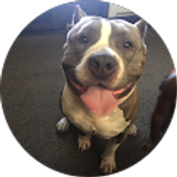 Profile photo of Michael Fincher