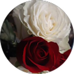 Profile photo of J W