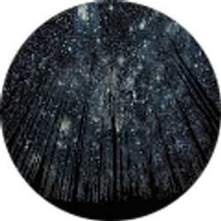 Profile photo of Skylar