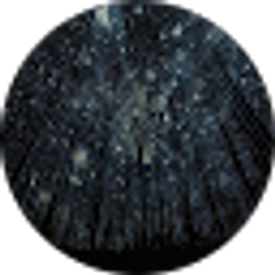Profile photo of Skylar