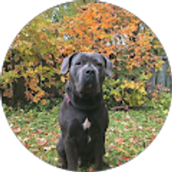 Profile photo of maratin cardoso