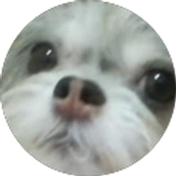 Profile photo of Ana Diaz