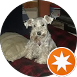 Profile photo of Debra Wingate