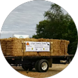 Profile photo of Richard Lloyd