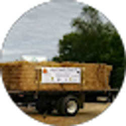 Profile photo of Richard Lloyd