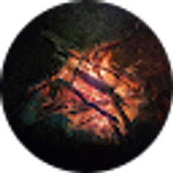 Profile photo of Maxwell