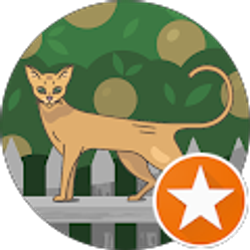 Profile photo of Stephen Moll