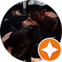 Profile photo of Pam Wilson