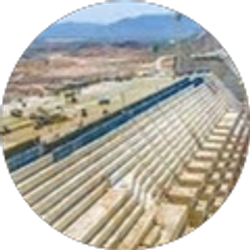 Profile photo of Selam Dimetros