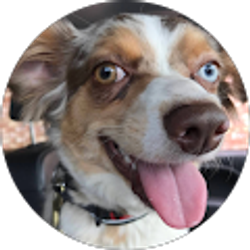 Profile photo of Cindy Harper