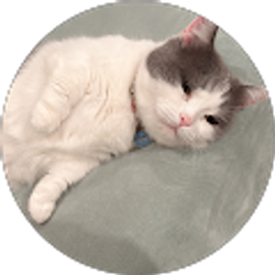 Profile photo of Meixian Huang