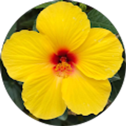 Profile photo of Michelle Brown