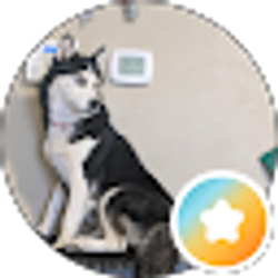 Profile photo of Todd