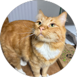 Profile photo of Bret Hartman