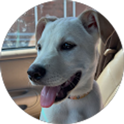 Profile photo of Holly Emmons