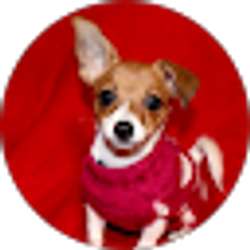 Profile photo of L DLC