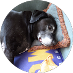 Profile photo of Kevin Cook