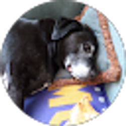 Profile photo of Kevin Cook