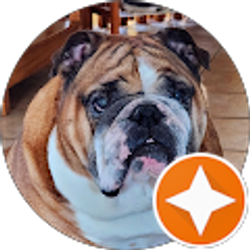 Profile photo of Psalm374 NIV