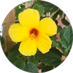 Profile photo of Denae Bilyeu