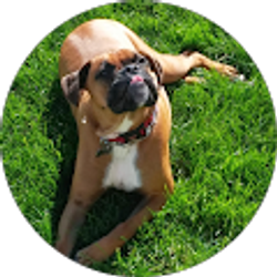 Profile photo of Sergio Del Real