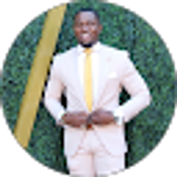 Profile photo of Ronnie Williams Jr