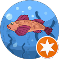 Profile photo of Maggie Yerkes