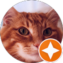 Profile photo of Lisa