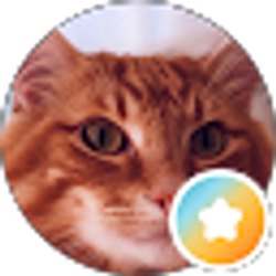 Profile photo of Lisa