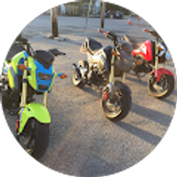 Profile photo of MrDman0550 J