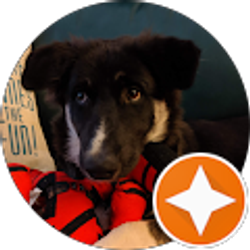 Profile photo of Stephanie Mercer