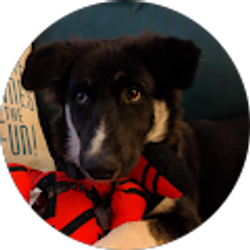 Profile photo of Stephanie Mercer