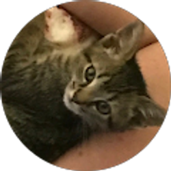 Profile photo of Alison Belcher