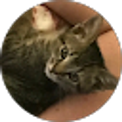 Profile photo of Alison Belcher