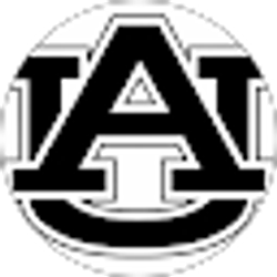 Profile photo of Rob Beddingfield