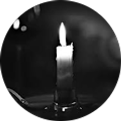 Profile photo of Feizollah Safarpour