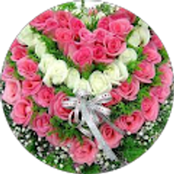 Profile photo of Sawsan Atia