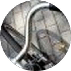 Profile photo of Megan Dunn