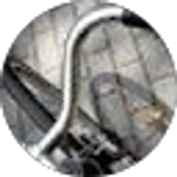 Profile photo of Megan Dunn