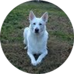 Profile photo of John Douglass